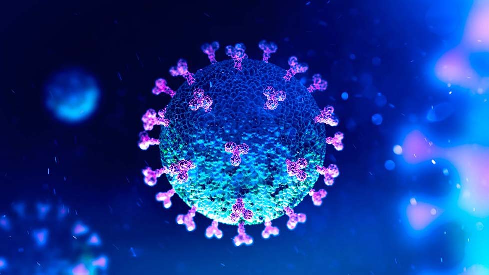 Saúde registra 71 novos casos de coronavírus e um óbito na quarta-feira (27)