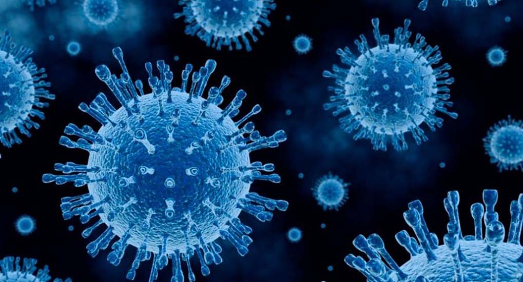 Saúde registra 101 novos casos de coronavírus e 2 óbitos na terça (9)