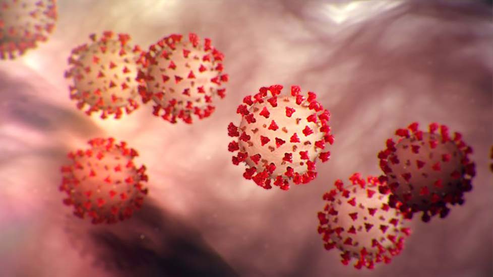 Saúde registra 11 novos casos de coronavírus e 2 óbitos na quarta-feira (1º)