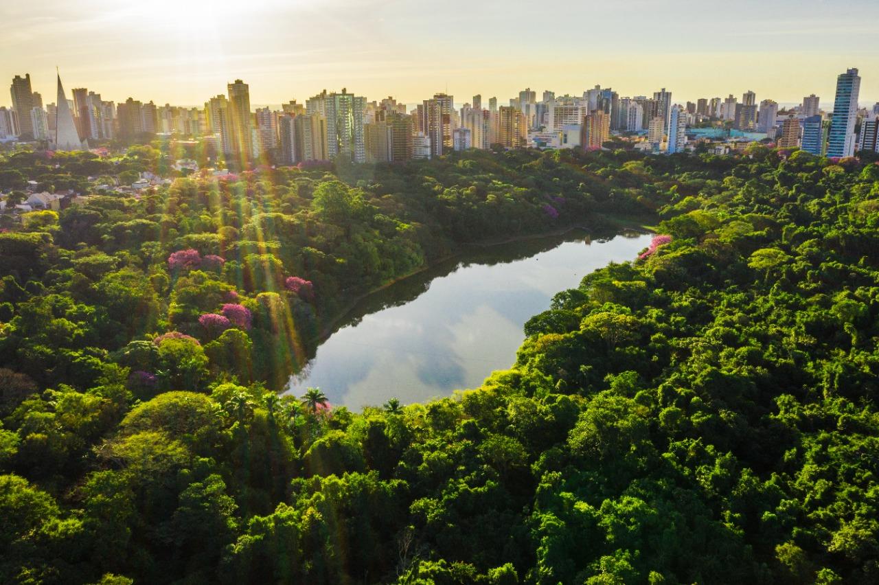 ONU reconhece Maringá como “Cidade Árvore do Mundo”
